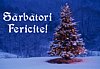Sarbatori Fericite!